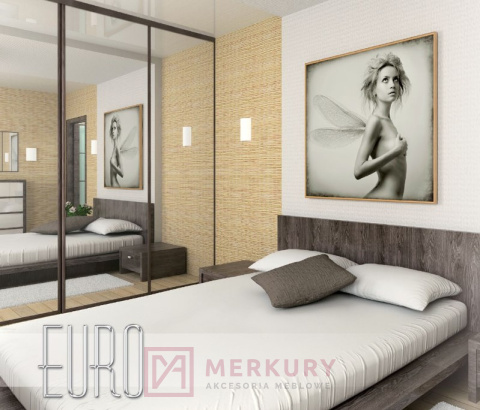 Zestaw system przesuwny EURO, 2 drzwi, aluminium, 2m MERKURY Akcesoria Meblowe Zestaw system przesuwny EURO, 2 drzwi, aluminium, 2m MERKURY Akcesoria Meblowe