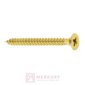Wkręt hartowany z łbem stożkowym 3,0x16mm KDH 5kg MERKURY Akcesoria Meblowe Wkręt hartowany z łbem stożkowym 3,0x16mm KDH 5kg MERKURY Akcesoria Meblowe